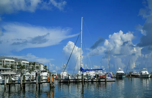 Chave West Florida Junho 2016 Iates Veleiros Marina Key West — Fotografia de Stock