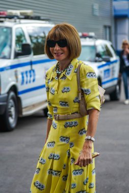 NEW YORK - 7 Eylül 2019: Vogue dergisinin genel yayın yönetmeni Anna Wintour, New York 'taki Ulusal Tenis Merkezi' nde düzenlenen 2019 ABD Açık Kadınlar final maçına katıldı