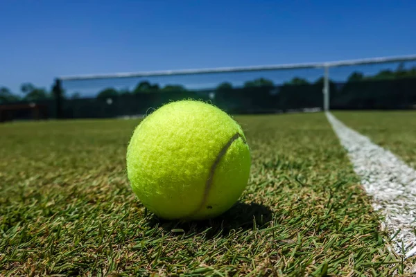 Tennisboll Gräsplan — Stockfoto