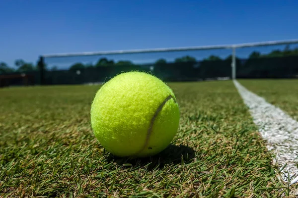 Tennisball Auf Rasenplatz — Stockfoto