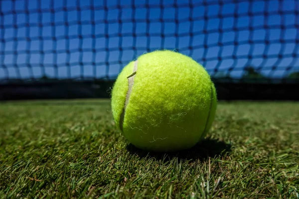 Tennisball Gressbanen – stockfoto