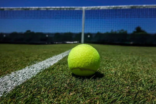 Pelota Tenis Cancha Hierba — Foto de Stock