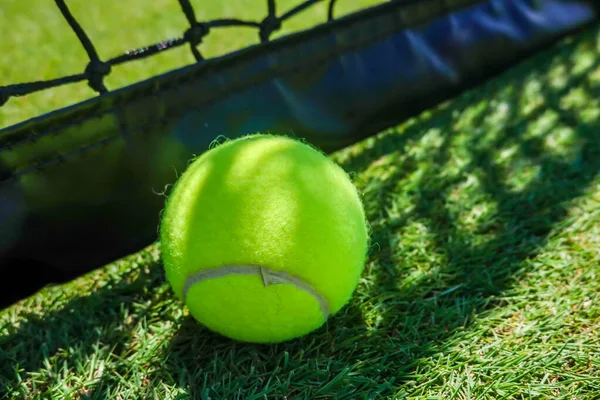 Tennisball Auf Rasenplatz — Stockfoto