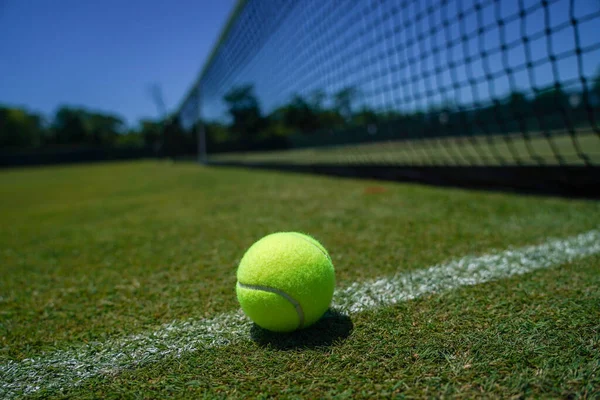 Tennisball Auf Rasenplatz — Stockfoto