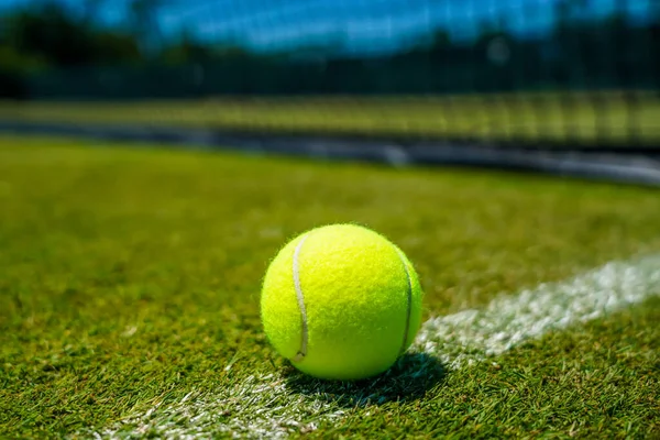 Pelota Tenis Cancha Hierba — Foto de Stock