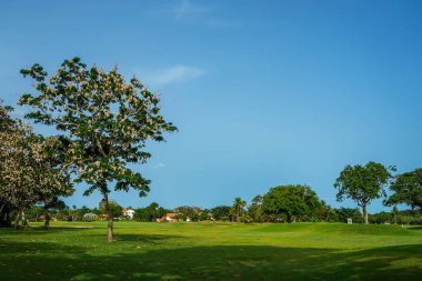 Dünyaca ünlü Casa de Campo Golf Sahası. Dominik Cumhuriyeti 'nde Pete Dye tarafından yaratıldı.