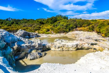 Cehennem Kapısı Jeotermal Rezerv ve Yeni Zelanda, Rotorua 'daki Çamur Kaplıcasında Şeytan' ın Havuzu