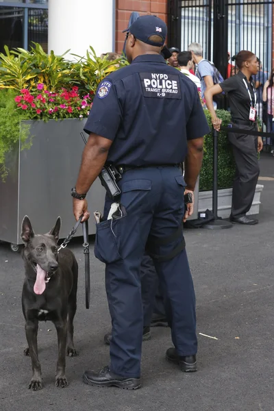 纽约警察局过境局 k 9 警察和比利时牧羊犬 k 9 山姆期间我们提供安全在国家网球中心打开 2014 — 图库照片