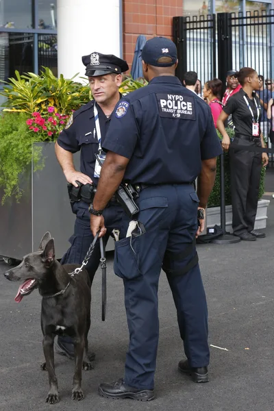 Nypd transit bureau k-9 polizisten und belgischer hirte k-9 sam sorgen für sicherheit im nationalen tenniszentrum während unserer eröffnung 2014 — Stockfoto