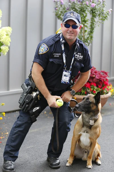 Nowojorscy tranzytu biura k-9 policjantów i Owczarek belgijski k-9 wyatt zapewnienie bezpieczeństwa narodowego tenis Center w nas otwarcie 2014 — Zdjęcie stockowe