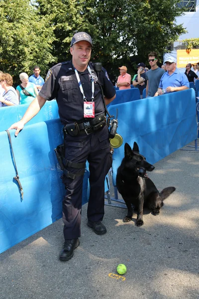 Nypd transit bureau k-9 polizist und belgischer schäferhund k-9 taylor sorgen für sicherheit im nationalen tenniszentrum während unserer eröffnung 2014 — Stockfoto