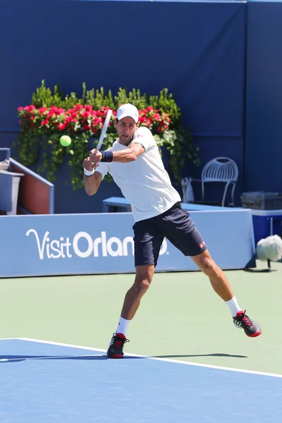 Seis veces campeón del Grand Slam Novak Djokovic practica para el US Open 2014 —  Fotos de Stock
