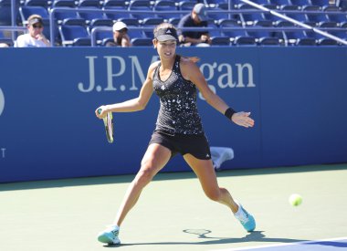 Grand slam şampiyonu ana İvanoviç açık bizim için ulusal Tenis Merkezi billie jean king 2014 uygulamaları