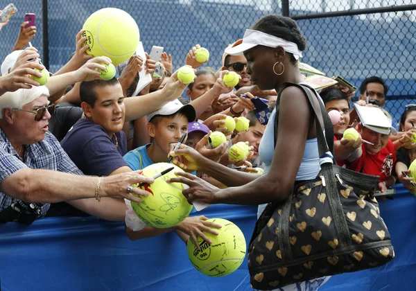 Neuf fois championne du Grand Chelem Venus Williams signe des autographes après l'entraînement pour l'US Open 2014 — Photo