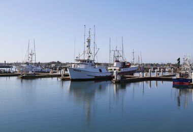 San Diego Harbor ünlü San Diego ton balığı balıkçı tekneleri