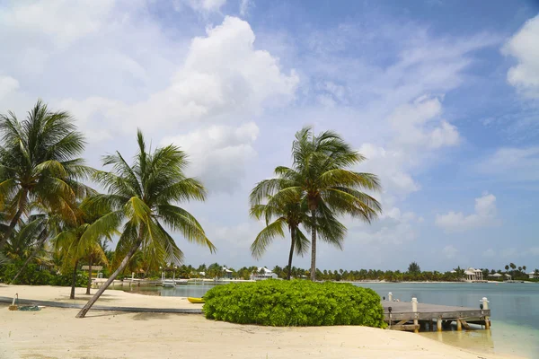 Bella spiaggia caraibica esotica con palme a Grand Cayman — Foto Stock