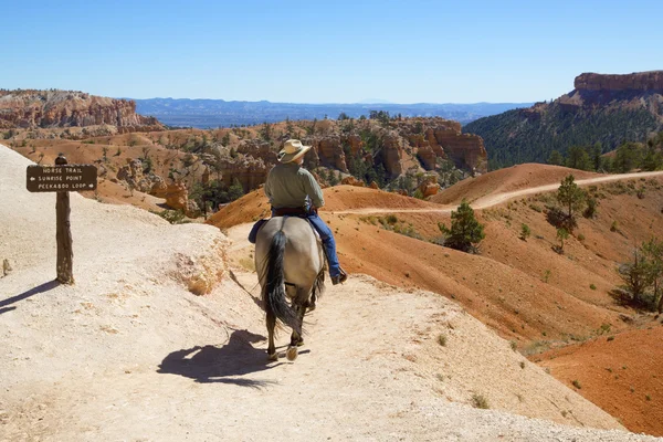 Toeristen paardrijden op paard proces in Bryce Canyon National Park in Utah — Stockfoto