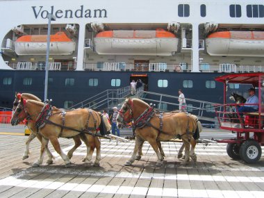 At arabası tur Ketchikan Volendam Holland Amerika Cruise gemisiyle önünde çekilmiş
