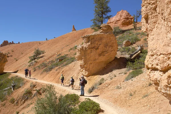 Hikers at Queens Garden trial at Bryce Canyon National Park in Utah — Stock Photo, Image