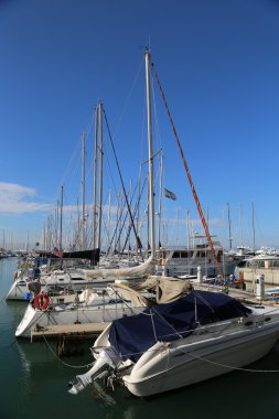 Yelkenli Yatlar Herzliya Marina