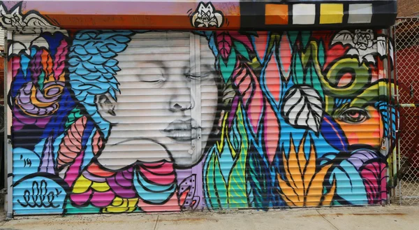 Arte mural en la sección de Astoria en Queens — Foto de Stock