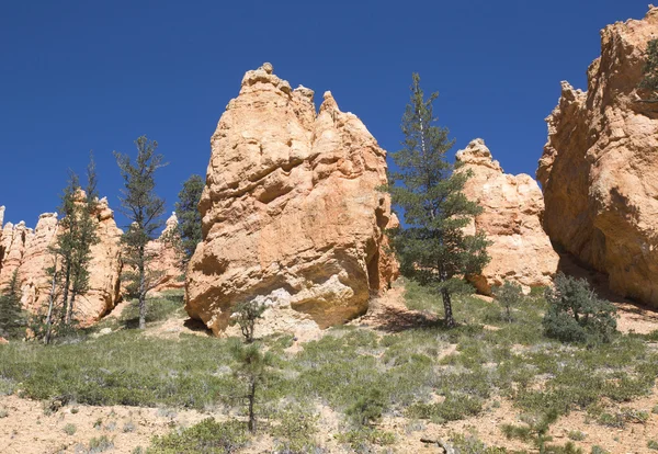 Formaciones rocosas en el Parque Nacional Bryce Canyon, Utah —  Fotos de Stock