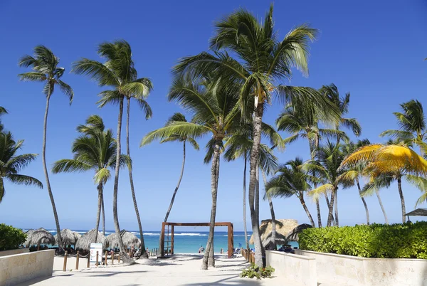 Royalton Todo Incluido Resort and Casino situado en la playa de Bavaro en Punta Cana — Foto de Stock