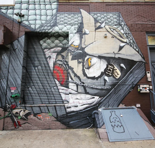 在东在布鲁克林的威廉斯堡的壁画艺术 — 图库照片