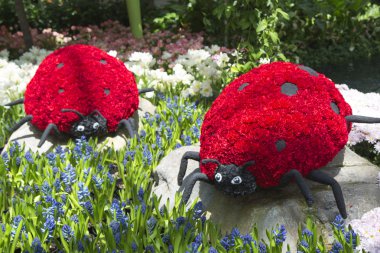 Konservatuvarı Bellagio Hotel and Casino Las Vegas çiçek heykeller