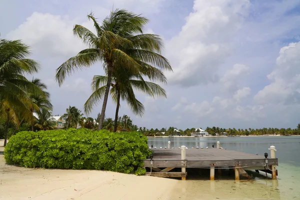 Typical landscape at Caiman Islands — Stock Photo, Image