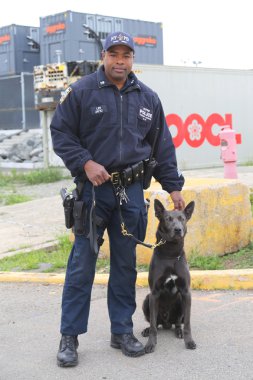 New York transit Bürosu K-9 polis memuru ve Belçika çoban K-9 Sam filosu hafta 2015 yılında New York sırasında güvenliğin sağlanması