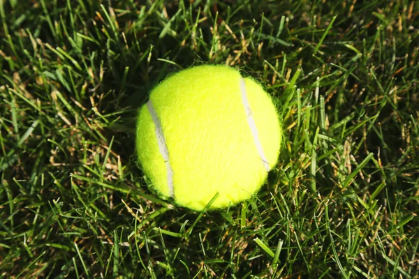 Tennisboll på grönt gräs — Stockfoto