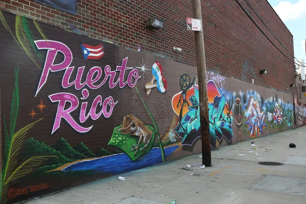 Porto Rico arte mural temática em East Williamsburg — Fotografia de Stock