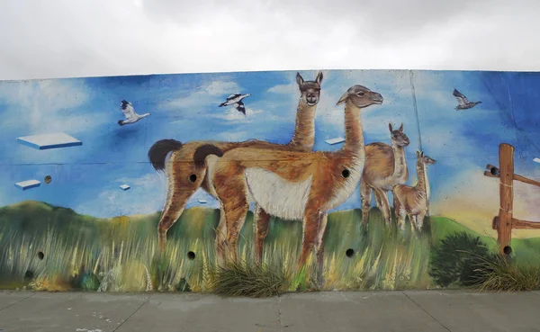 Mural art inspired by Patagonian history near Strait of Magellan ferry at Bahia Azul, Chile — ストック写真