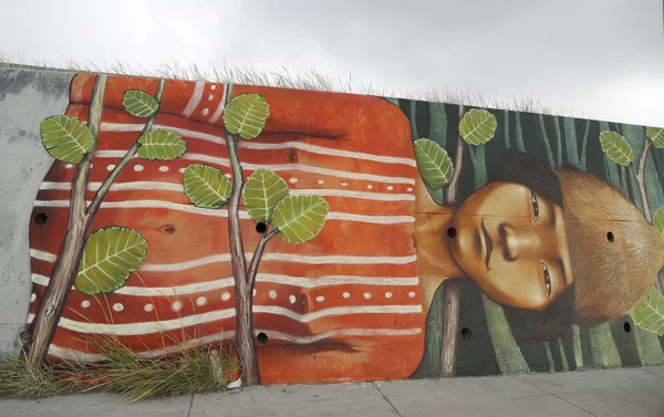 Mural art inspired by Patagonian history near Strait of Magellan ferry at Bahia Azul, Chile — Stok fotoğraf