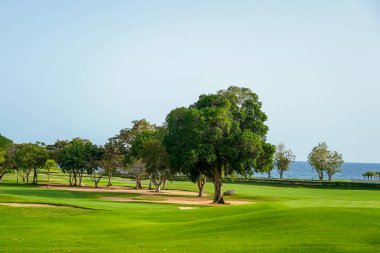 Yaz boyunca güzel golf sahası