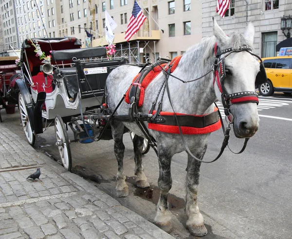 Horse Carriage près de Central Park sur la 59e rue à Manhattan — Photo
