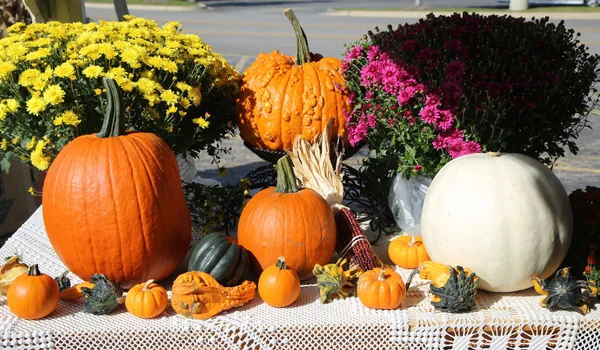 Herbstliche Kürbisdekoration — Stockfoto