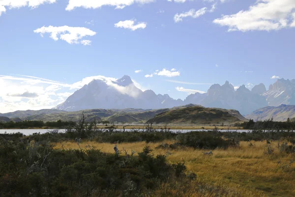 Torres del Paine Nemzeti Park, Patagónia, Chile — Stock Fotó