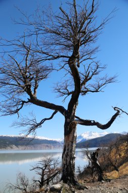 Göl manzaralı Milli Parkı Torres del Paine, Patagonia, Şili