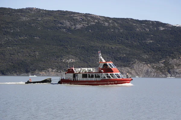 Crucero en el Lago Grey en el Parque Nacional Torres del Paine en Patagonia — Foto de Stock