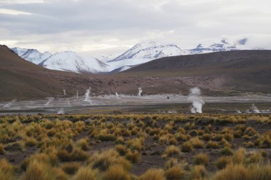 Atacama Çölü'bulunan El Tatio alanının Geysers Vadisi
