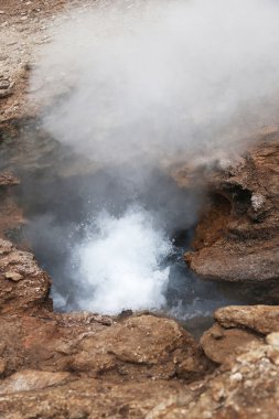 Atacama Çölü'bulunan El Tatio alanının Geysers Vadisi