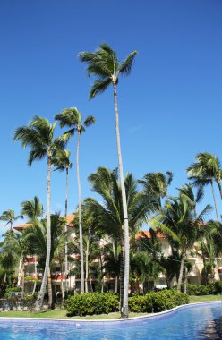 Görkemli Elegance Punta Cana 5 yıldızlı her şey dahil otel