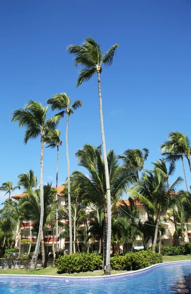 Majestic Elegance Punta Cana all inclusive 5-gwiazdkowy Hotel — Zdjęcie stockowe