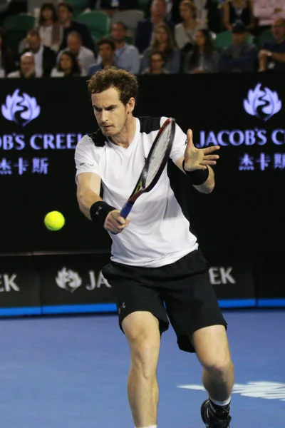 El campeón de Grand Slam Andy Murray de Reino Unido en acción durante su partido de semifinales del Abierto de Australia 2016 — Foto de Stock