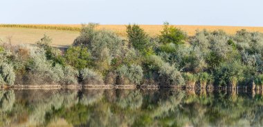 Ağaçlarla kaplı manzara, suya yansıyor..