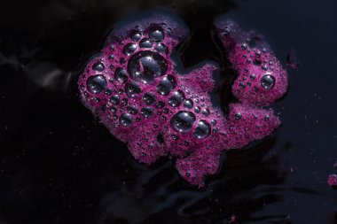 Şarap yapımı. Köpüklü taze üzüm suyu. Akarsu akmalı ve özel bir kapta toplanmalı. Moldova 'da şarap üretim teknolojisi. Üzüm işlemenin eski halk geleneği. Evi hasat et.