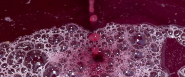 Şarap yapımı. Köpüklü taze üzüm suyu. Akarsu akmalı ve özel bir kapta toplanmalı. Moldova 'da şarap üretim teknolojisi. Üzüm işlemenin eski halk geleneği. Evi hasat et.