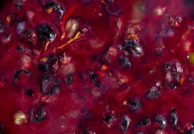 Şarap malzemesi, üzüm suyu - mutlaka, stum, maun. Moldova 'da şarap üretim teknolojisi. Şarap yapma geleneği..